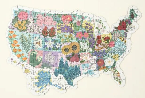 Puzzle in the shape of the United States of America. Each state contains a drawing of a different type of flower.