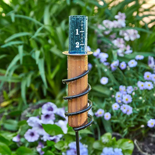 Image of a copper rain gauge seated in a coiled holder. There are flowers in the background.